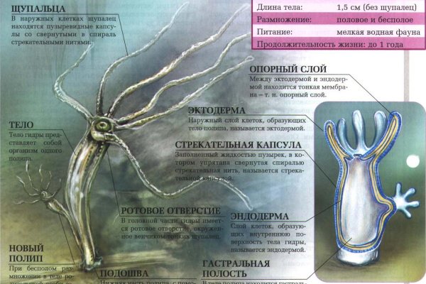 Кракен даркнет зеркало