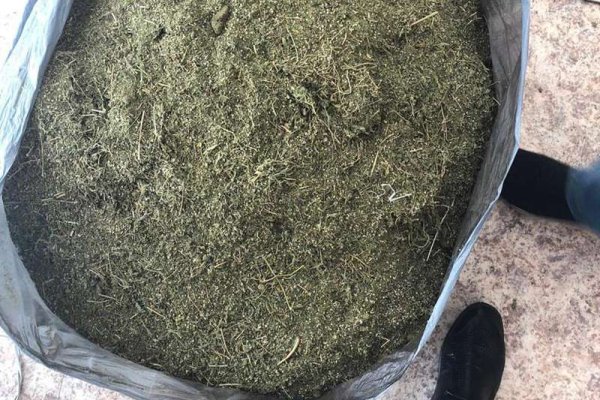 Что за приложение кракен
