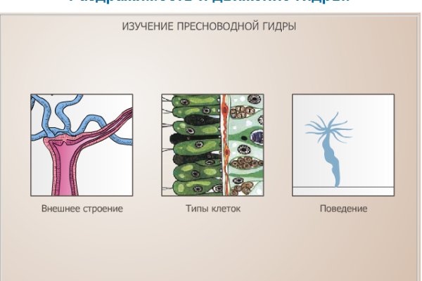 Кракен современный даркнет маркет плейс