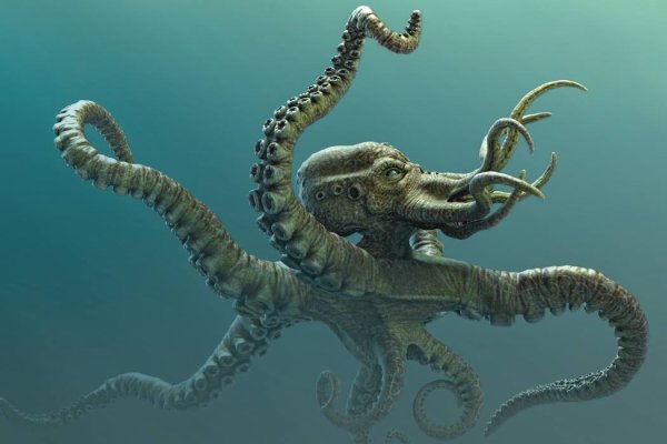 Krakin13 at