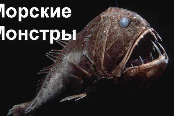 Как найти kraken