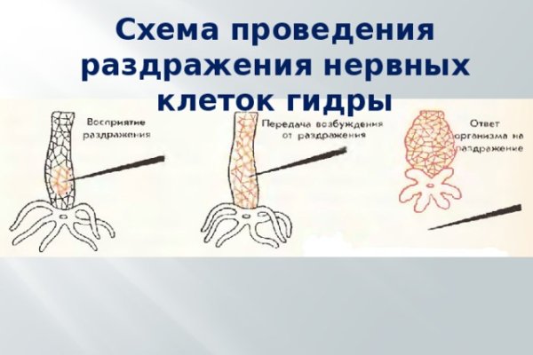 Кракен маркет что это такое