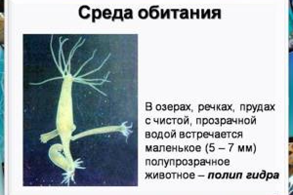 Как перейти на кракен